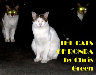 thecatsofronda2